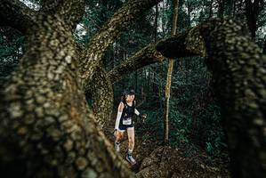 BIB: 
                            <button type="button" onclick="openModal(25703132)" class="btn btn-primary btn-sm float-right btn-popup" data-toggle="modal" data-target=".modal-high-quality">
                        <i class="fas fa-shopping-cart"></i> Add to Cart
                    </button>
                                            <button type="button" onclick="isThisMe(25703132, true)" class="btn btn-success btn-sm float-right btn-popup btn-isme hidden" data-toggle="tooltip" data-placement="bottom" title="นี่คือรูปของคุณใช่ไหม คลิกที่นี่เพื่อเอาเข้าอัลบั้ม">
                        <i class="fas fa-plus"></i> Add to album
                    </button>
                    <button type="button" onclick="isThisMe(25703132, false)" class="btn btn-warning btn-sm float-right btn-popup btn-isnotme hidden">
                        <i class="fas fa-ban"></i> Remove from album
                    </button>